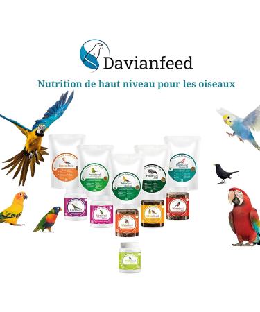 Nutritious Pate for Psittacidae 500g - Food for Parrots Macaws Lovebirds Parakeets Canaries and Sparrows - Stimulates - Buy Online on GoSupps.com
