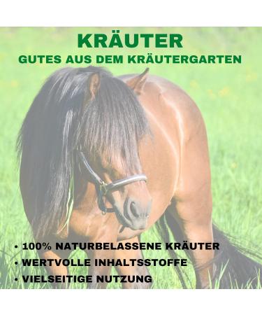 Stiefel Chasteberry Whole Seeds 500g - Buy Online on GoSupps.com