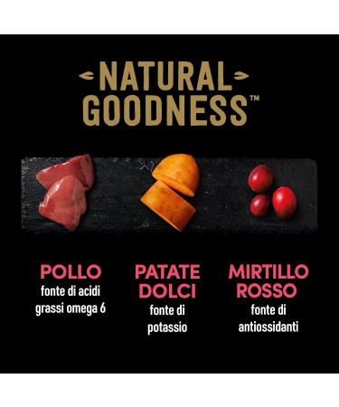 Cesar Natural Goodness Wet Dog Food 6 Cans with Chicken & Vegetables - 2.4 kg - Buy Online on GoSupps.com