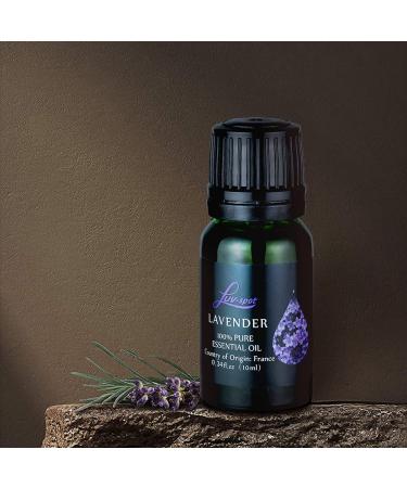6-Pack 10mL Top Essential Oils Gift Set for Aromatherapy & Home Fragrance | 100% Pure Natural Oils for Diffuser, Humidifier, and Massage | 0.33 Fl Oz (Pack of 6) - Buy Online on GoSupps.com