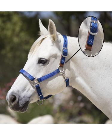 Kensington Premium Breakaway Halter with Padded Nose  Added Breakaway Safety Measures  Snap at Throat for Identical Fit Each Time XL-Lrg.Horse 181 - Kentucky Blue