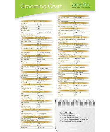 Andis UltraEdge Detachable Clipper Blade 10 - 1/16 (1.5mm) - Premium Quality Blade for Professional Grooming - Buy Online on GoSupps.com