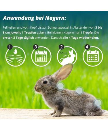 Marsavet Spot-on Natural Tick & Flea Protection for Pets | 50ml | Safe for Dogs Cats Birds & Rodents of All Ages - Buy Online on GoSupps.com