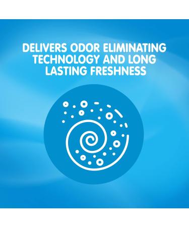 Snuggle Scent Shakes SuperFresh Spring Burst In-Wash Scent Booster Beads 9 oz (Pack of 4) - Buy Online on GoSupps.com