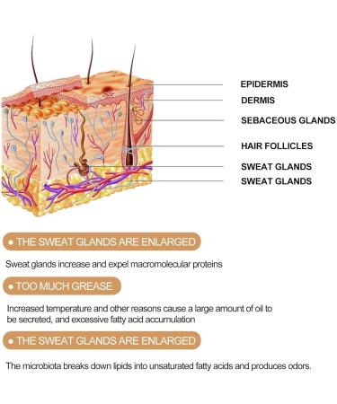 IFFANY Propolis Lemongrass Deodorant Cream Underarm Deodorant Cream Aluminum Free Deodorant Cream for Ingrown Hairs After Shaving - Buy Online on GoSupps.com