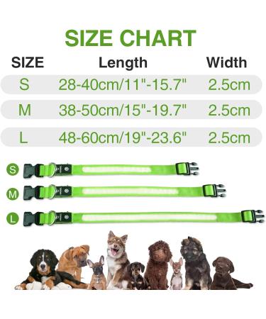 Masbrill LED Dog Collar - USB Rechargeable Waterproof & Adjustable for Small to Medium Dogs - 3 Lighting Modes - Safety Green (S 28-40cm) - Buy Online on GoSupps.com