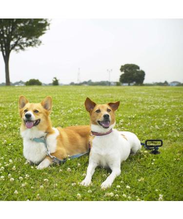 Premium Floor Anchor for Dogs - Durable Binding Posts for Camping & Garden | Secure Leash for Small Medium & Large Dogs - Buy Online on GoSupps.com