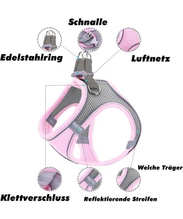 Shop Bright Pink Dog Harness & Puppy Tableware | Small Dog Dishes with Leash - Curli - Buy Online on GoSupps.com