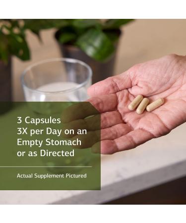 Standard Process Gastro-Fiber - Digestive Health Supplement with Collinsonia Root, Apple Pectin, and Fennel Seed - 150 Capsules - Buy Online on GoSupps.com