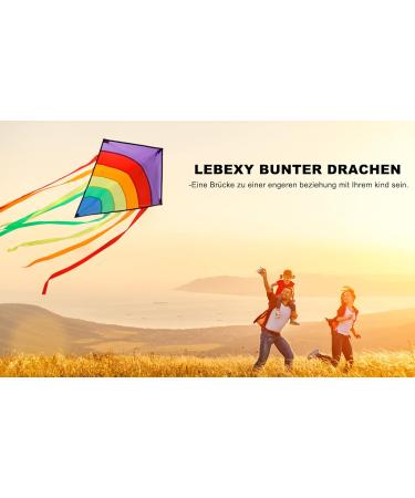 Lebexy Insliner Delta Dragon Kite for Kids & Adults | Easy to Fly Colorful 73x65 cm Kite with 80m String | Perfect Children's Outdoor Toy - Buy Online on GoSupps.com