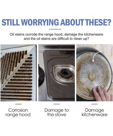 Powerful Kitchen All-Purpose Powder Cleaner Multi Purpose Cleaning Powder Household Multifunctional Strong Cleaning Agent (2pcs 250g) 2pcs 250g - Buy Online on GoSupps.com