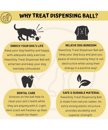 Pawsonly Dog Ball for All Dogs | Natural Rubber Feeding & Dental Toy | Intelligence Ball (Large 8 cm Green) - Buy Online on GoSupps.com