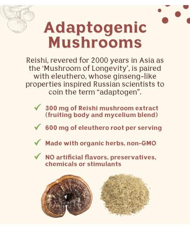 Teeccino Organic Reishi Eleuthero Mushroom Herbal Tea - Caffeine Free, 10 Bags (60g) - Buy Online on GoSupps.com