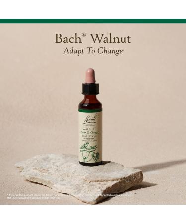 Bach Original Flower Remedies Walnut - Adapt to Change - Natural Homeopathic Flower Essence for Emotional Balance - Vegan Gluten Free Sugar Free - 20mL Dropper - Buy Online on GoSupps.com