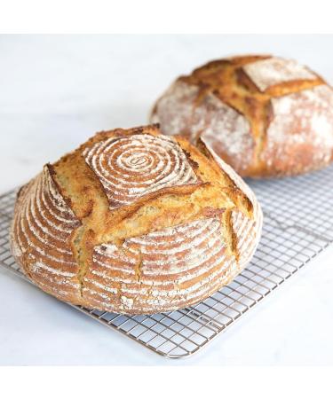 Jovial Organic Einkorn All Purpose Flour - Unbleached, Non-GMO, Kosher, 32oz (Pack of 10) - Buy Online on GoSupps.com
