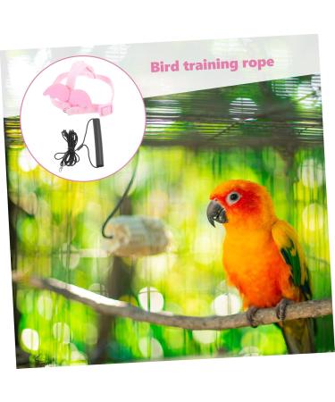 DOITOOL 3 Sets Bird Leash Suspend Parrot Harness and Leash Conure Birds Flying Harness Kit Gecko 12X6X1.3CMx3pcs Pinkx3pcs - Buy Online on GoSupps.com