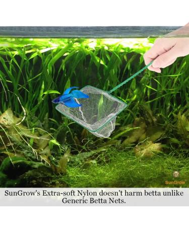 SunGrow Betta Fish Net - 5x4 Inches with 11 Inches Handle - Extra Soft Nylon for Delicate Fin Protection - Ideal for Easy Aquarium Tank Maintenance - Buy Online on GoSupps.com