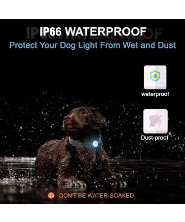 UMIONE PET LIGHT - Waterproof & Durable Dog Light for Night Walks | Unique Blanc Paquet - Buy Online on GoSupps.com