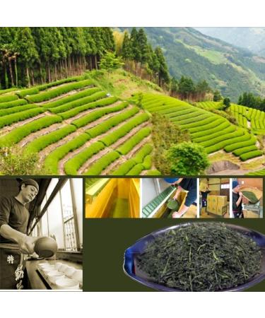  Daisan Tea Daisan Tea Ryogouchi Sencha 50g Premium Japanese Green Tea from Shizuoka | 1st Place at the Japan National Tea Competition - Buy Online on GoSupps.com