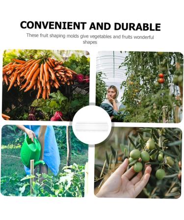 CIYODO 3pcs Cucumber Mold Cucumbers Fruit Growing Molds for Garden Cucumber Shaping Mold Square Vegetable - Buy Online on GoSupps.com