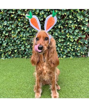 Midlee Carrot Bunny Ears Easter Dog Headband Costume (Small) - Buy Online on GoSupps.com