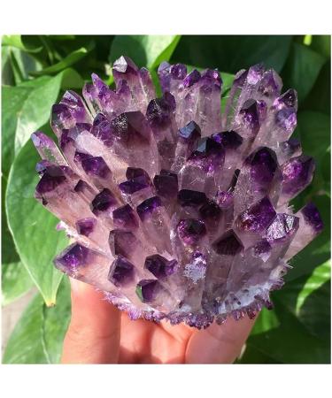 Collection Natural Crystals Quartz Amethust Cluster Freeform Energy Reiki Stones Room Home Office Aquarium Decoration Accessories Gemstone (Size : 400-450g) - Buy Online on GoSupps.com