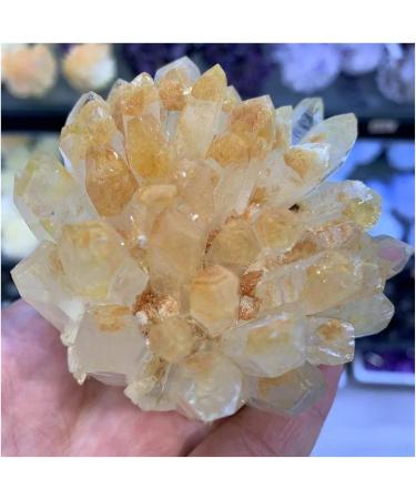 Natural Crystal Rough Crystal Cluster Natural Rare Yellow Quartz Crystal Cluster Specimen (Size : 150-200g) - Buy Online on GoSupps.com