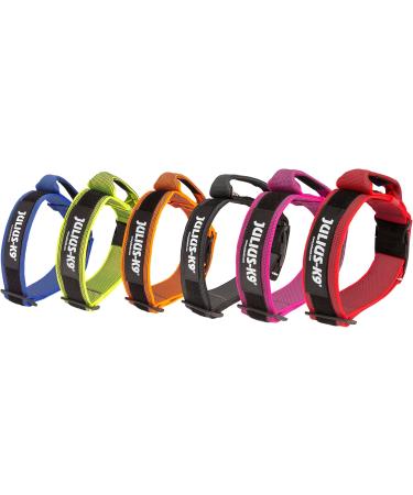 Julius K9 Color & Gray Series Adjustable Neck Band with Handle - 50mm (49-70cm) - Safety Closure - Red-Gray for Dogs - Buy Online on GoSupps.com