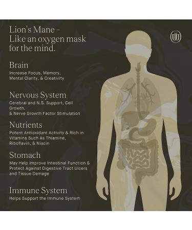 UPHORIC URTH Lions Mane Extract - Natural Brain Booster Tincture (60 Servings) - Buy Online on GoSupps.com