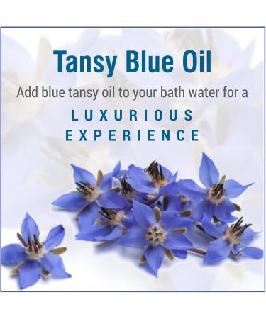 Crysalis Tansy Blue (Tanacetum Annuum) Oil |100% Pure & Natural Undiluted Essential Oil Organic Standard Tansy Oil For Cleansing Skin & Pores Reduce Redness Repair Damaged Skin - (15 ML) - Buy Online on GoSupps.com