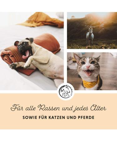 Annimally Salmon Oil for Dogs 1L - Rich in Omega 3 & 6 Fatty Acids | Ideal for Dogs Cats & Horses - BARF Fish Oil - Buy Online on GoSupps.com