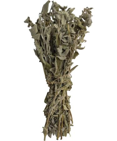 Wild Greek Sage Herbal Tea Whole Bunch Premium Quality 220g - 1.95Kg Salvia Triloba (950 grams) - Buy Online on GoSupps.com