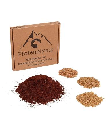 PfotoLymp Cat grass re -plant set - wheat grass seed and earth - suitable for cat grass shells/porcelain bowls - Cat grass/pot set - DIY