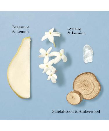 Armani Beauty - Ocean di Gi ia - Eau de Parfum - Perfume for Women - Floral Fruity & Green Women s Fragrance - Sparkling Pear Water Jasmine Sandalwood Notes 3.4 Fl Oz (Pack of 1) - Buy Online on GoSupps.com