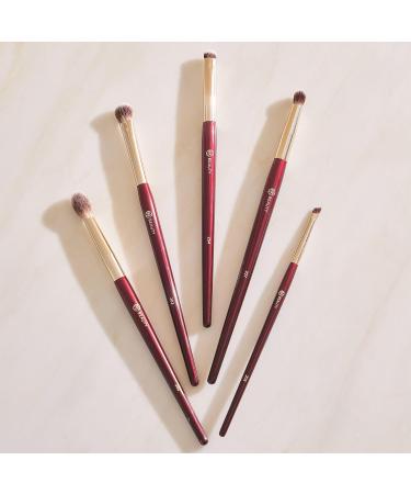 BK BEAUTY 5PC Brush Set for Hooded & Smaller Eyes | Premium Eyeshadow Brushes for Blending Smudging & Defining | Perfect Eye Makeup Tools - Buy Online on GoSupps.com