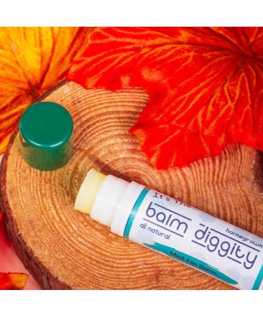 It's The Balm Diggity All-Natural Mint Lip Balm 2-pk handcrafted using only 5 pure ingredients 0.15 ounces per tube - Buy Online on GoSupps.com