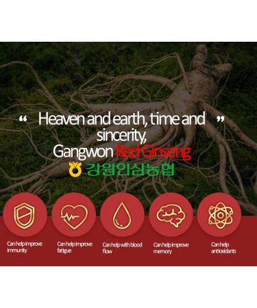 Gangwoninsam Korean Red Ginseng Extract Gold 120g / 4.23 fl. oz New Package Design Contains 100% Pure Korean 6-Year-Old Red Ginseng Root Extract 1 Count (Pack of 1) - Buy Online on GoSupps.com