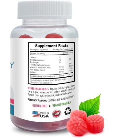 All-Natural Immune Support - Elderberry Gummies - Natural Antioxidants Vitamins Tasty Raspberry Flavor Non-GMO Gluten-Free Dairy-Free Black Elderberry with Vitamin C 3 Bottle 180 Gummies - Buy Online on GoSupps.com