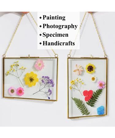 TLBTEK 2 pcs Hanging Photo Frames - 5x7 inch Double Glass Frames for Pressed Flowers - Vintage DIY Artwork Display - Wall Mounted Photos Frame - Horizontal and Vertical Display - Clear Glass - Buy Online on GoSupps.com