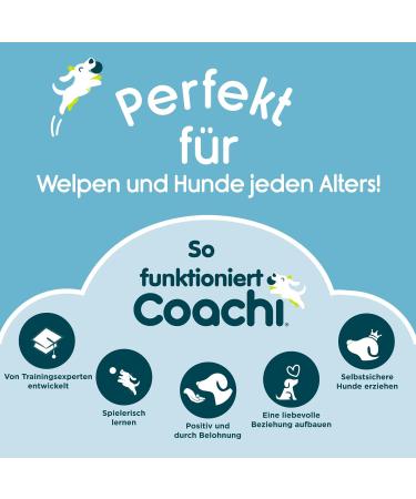 Coachi Toilet Training Bells for Puppies & Dogs | Adjustable User-Friendly No Door Scratching | Best Dog Training Accessories - Buy Online on GoSupps.com