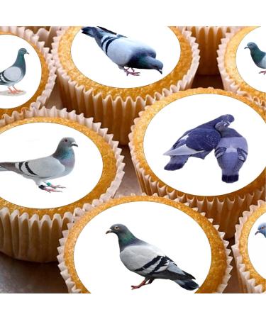 cakes 24 edible PRE CUT Pigeons British Birds Pigeon kids childrens party decorations Wafer Paper Cupcake Topper Cake