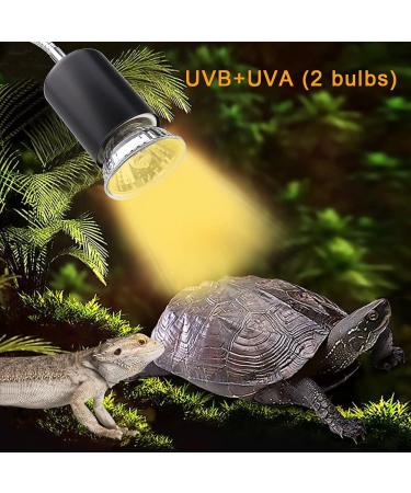 Naneezoo Turtles Heat Lamp - 25W Reptile Heating & UV Spot Lamp for Terrariums | E27 Clip-On Radiator for Turtles Lizards Spiders & Chameleons - 3 Pack - Buy Online on GoSupps.com