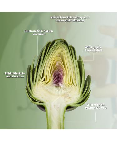 Buy Tool Ana Artichoke Paste - Antioxidant & Silymarin Rich - Liver Kidney & Urinary Tract Support - Vegan & Toxin-Free - Buy Online on GoSupps.com