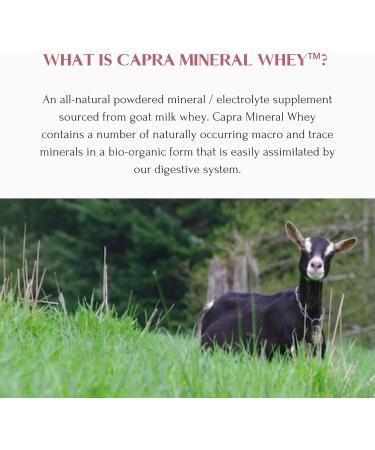 Mt. Capra Mineral Whey | A Whole Food, Bio-Available Mineral/Electrolyte Powder Supplement from Goat Milk Whey, Rich in Potassium, Alkalizing | 56 Servings - 50.8 oz Unflavored 3.18 Pound (Pack of 1) - Buy Online on GoSupps.com