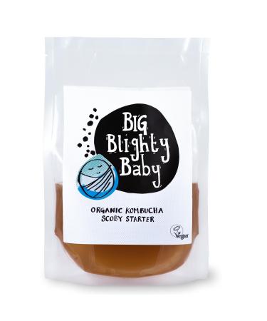 Big Blighty Baby - Kombucha Black Tea Starter SCOBY - 5L at Home - Certified Organic - Make Your Own - Blighty Booch Baby - Vegan Symbiotic Culture of Bacteria and Yeast with Starter Fluid - Buy Online on GoSupps.com