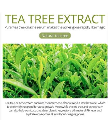 Premium Tea Tree Serum 2 Oz Acne Treatment with 20% Vitamin C B3 Hyaluronic Acid Retinol & Niacinamide for Dark Spots Wrinkles & Blemishes Anti-Aging Care - Buy Online on GoSupps.com