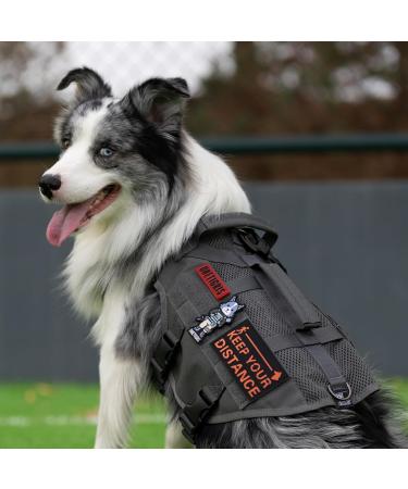 Oneigris No-Pull Dog Harness - Adjustable Aire Mesh Safety Vest for Large/Medium Dogs - Ultra Breathable with 2 Handles - Gray XS (Neck 28-43cm Breast 38-56cm) - International Shipping Available - Buy Online on GoSupps.com