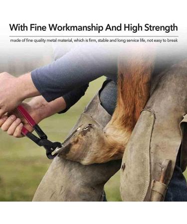 iksya Horse Hoof Nippers Trimmer - Professional Horse Farrier Tool Trimming Shears Nail Clippers for Goats Sheep Pigs Cattle Horses with Rubber Grip (Color : Green) - Buy Online on GoSupps.com