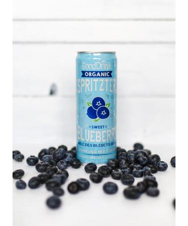 GoodDrink Organic Fruit Soda Blueberry - 355ml (Pack of 12) - Buy Online on GoSupps.com
