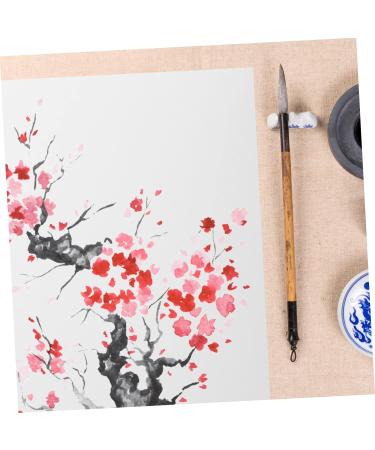 NUOBESTY 10 Sheets Raw Rice Cardboard Rice Paper Plants Convenient Thick Paper Drawing Paper Thicken White 0.1X30X50CM - Buy Online on GoSupps.com